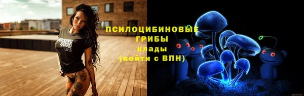 ECSTASY Вязьма